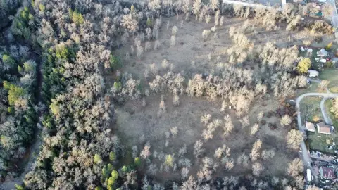 Laytonville Acreage with Development Potential