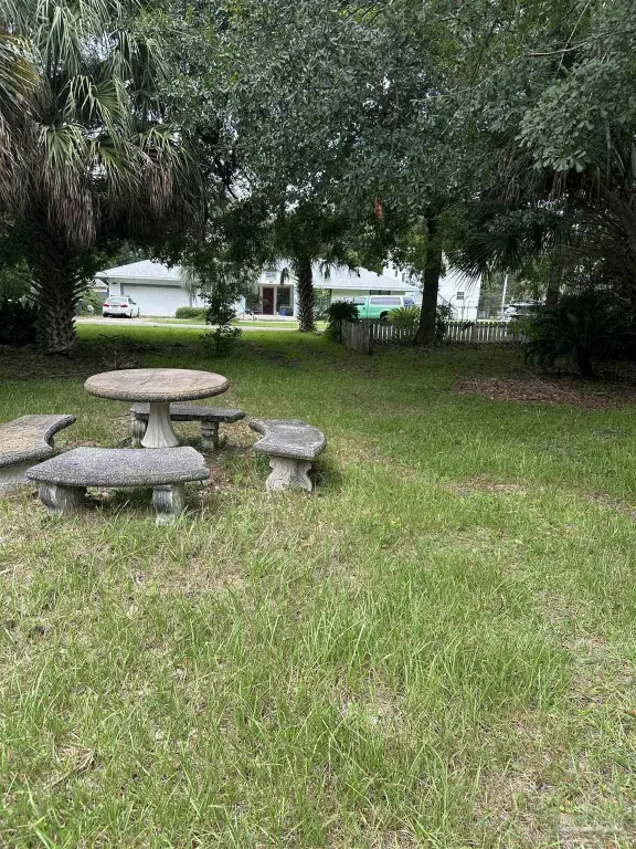 Picture 16