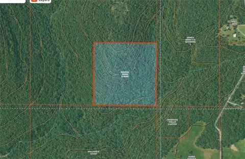 Secluded 40-Acre Hunting Land