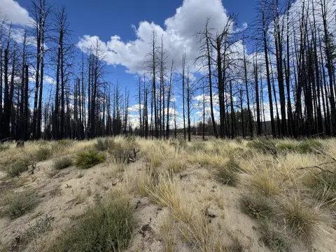 Residential Land in Beatty, Oregon