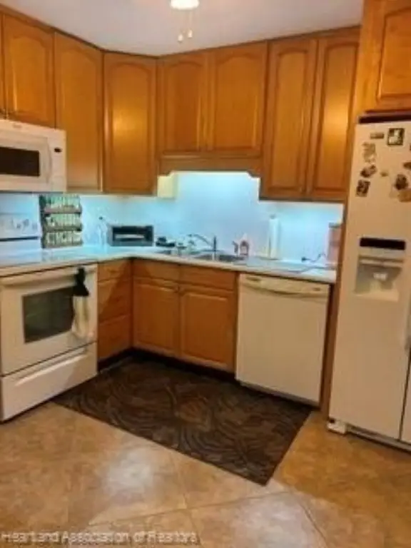 Picture 4