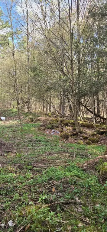 Picture 13
