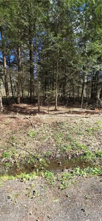 Picture 19