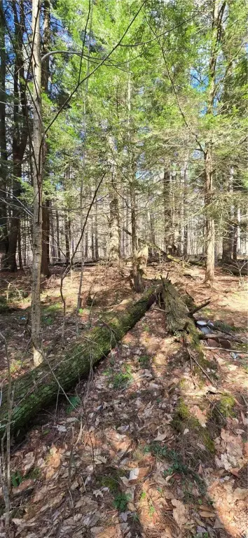 Picture 16