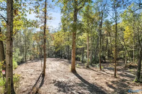Arab, AL - 3 Acre Parcel