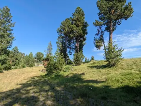 Ranch Homesite with Mountain Views