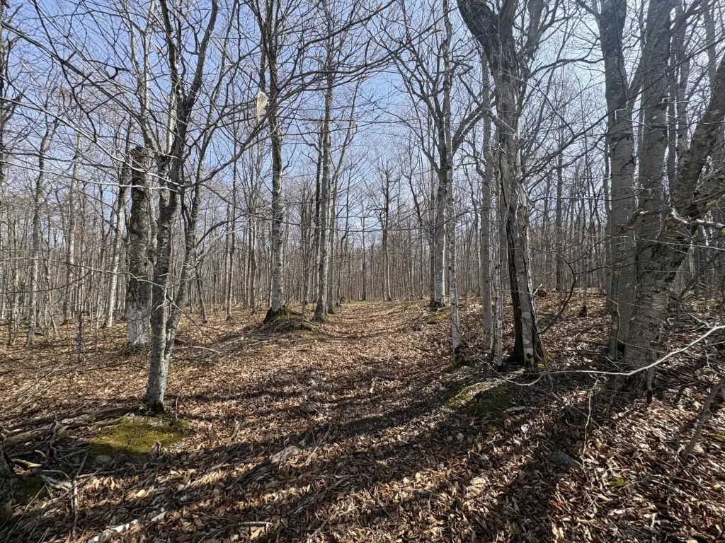 Picture 4