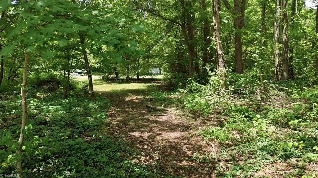 Picture 23