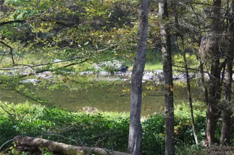 290+ Acres Sportsman's Paradise