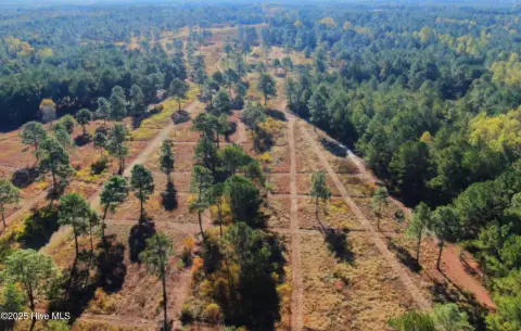 Rose Hill Hunting and Recreational Land