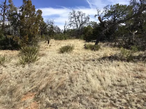 Land in Pine Meadows Ranch