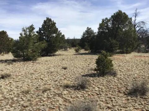 Land in Pine Meadows Ranch