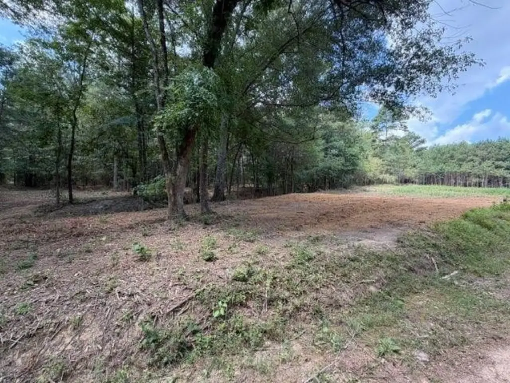 Picture 2