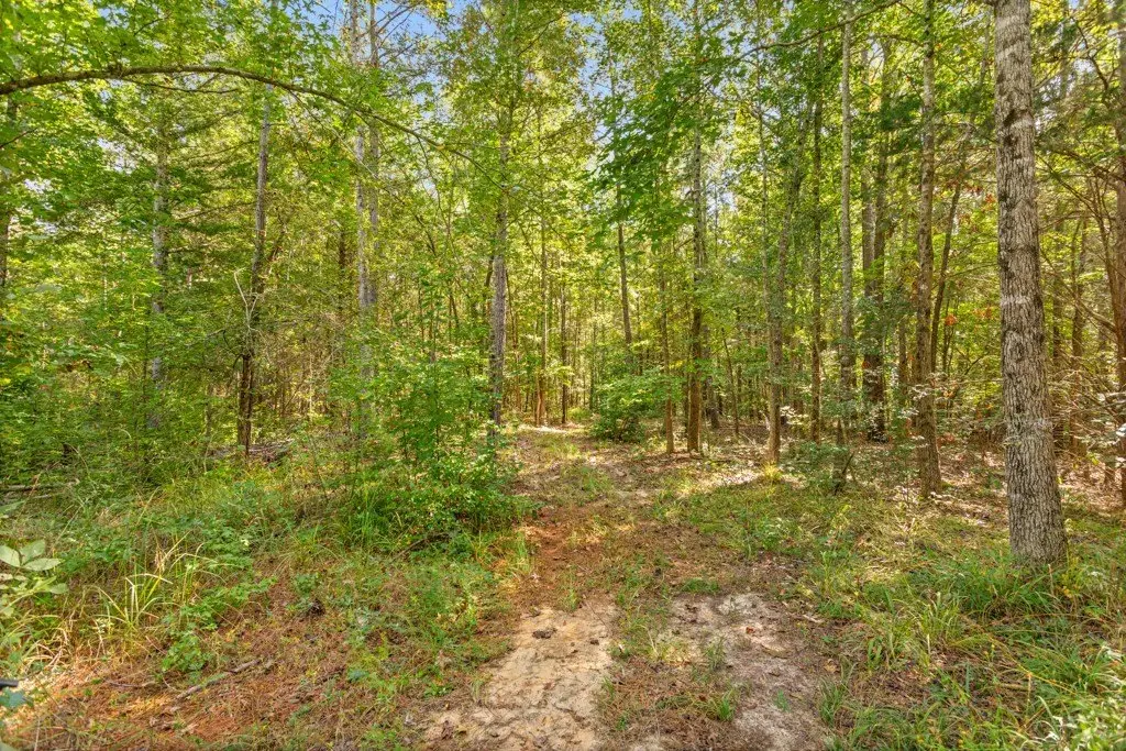 Picture 31