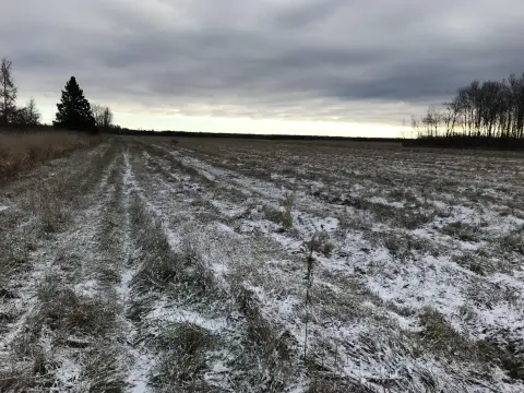 Productive Land in Rudyard, MI