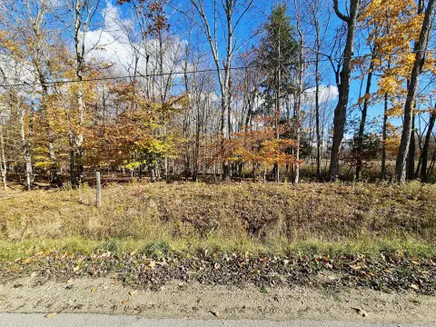 Vacant Land in Curtis, MI