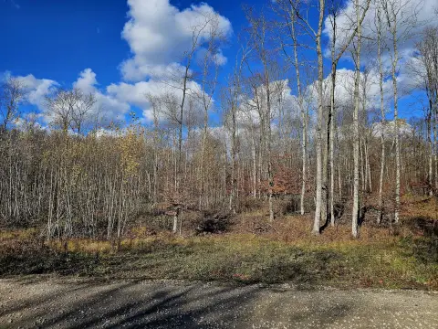 Vacant Land in Curtis, MI