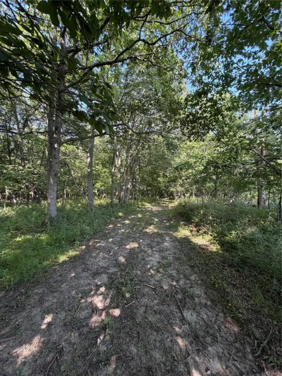 Picture 21
