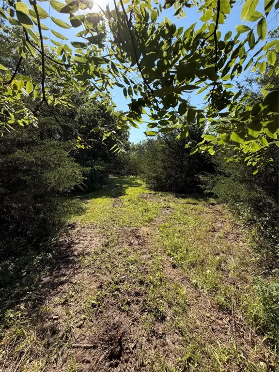 Picture 24