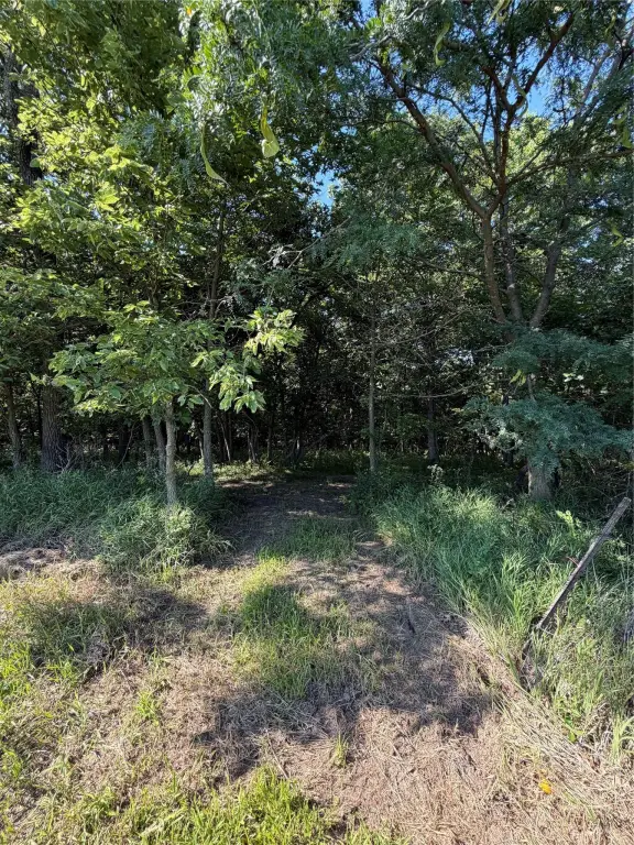 Picture 20