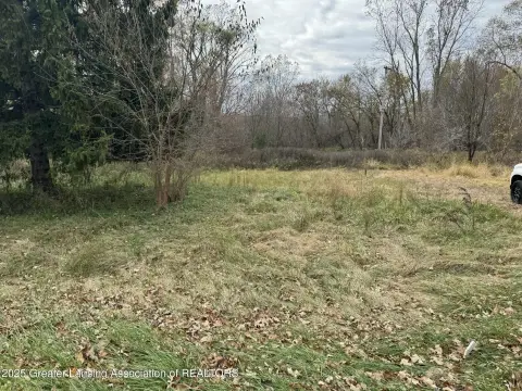 Residential Land in Holt, MI