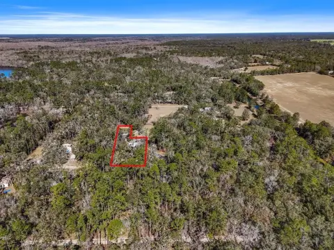 Wooded Lot Near Suwannee River