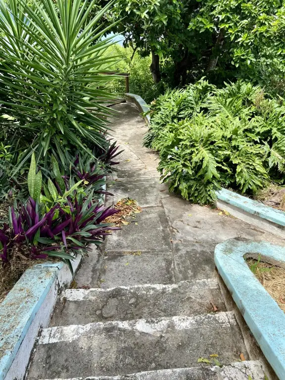 Picture 30