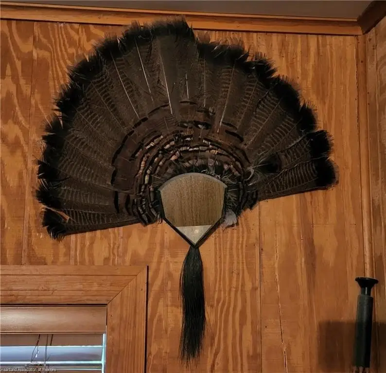 Picture 16