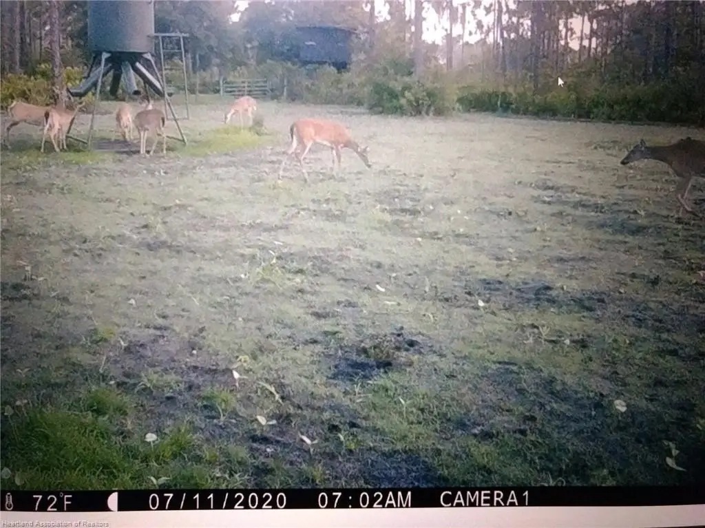 Picture 33