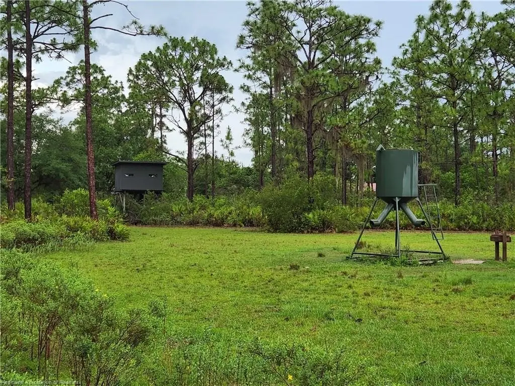 Picture 9