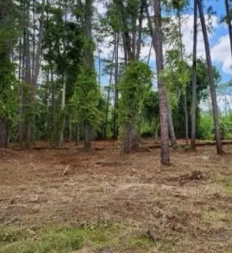 Residential Lot in Deland, FL
