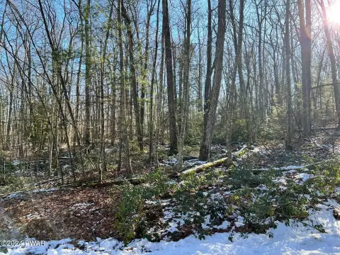 Residential Land in Tanglwood North