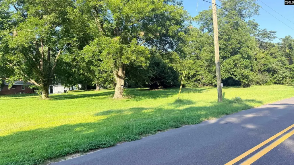 Picture 3