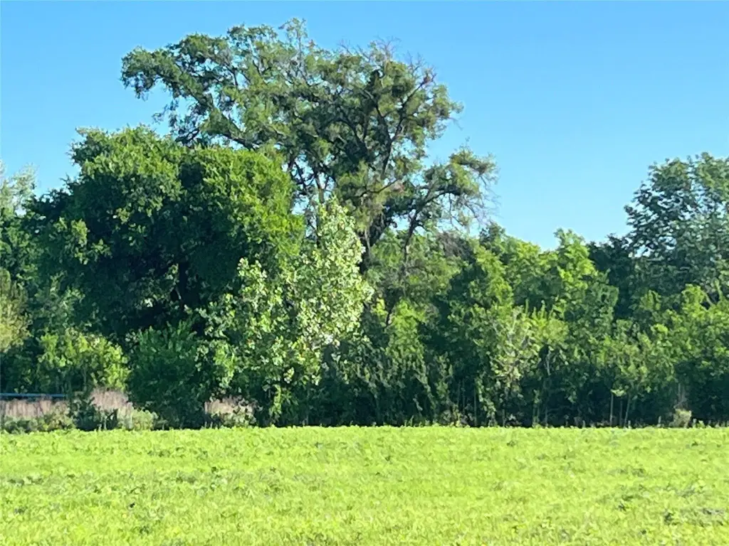 Picture 27
