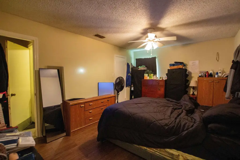 Picture 8
