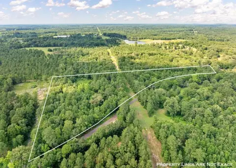 Heavily Wooded Land in Gilmer