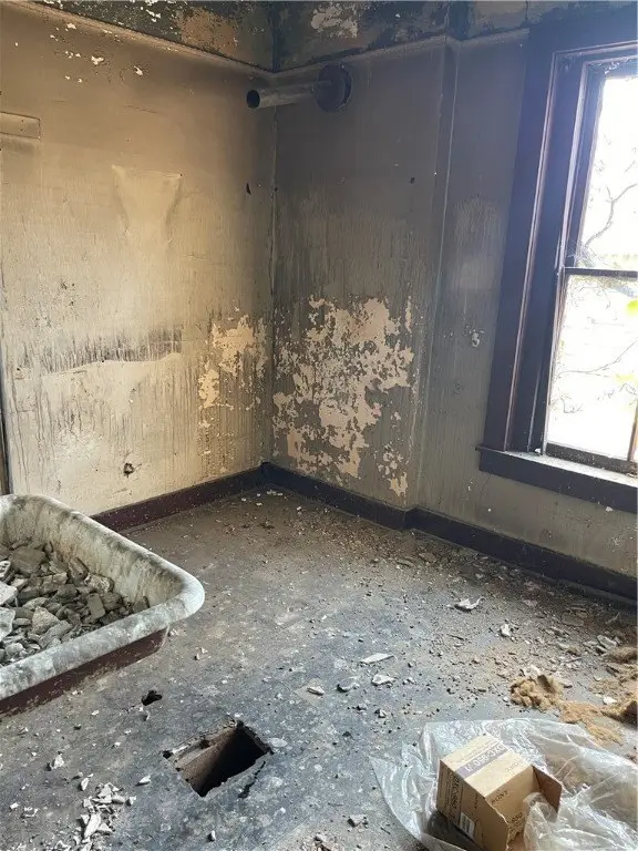 Picture 3