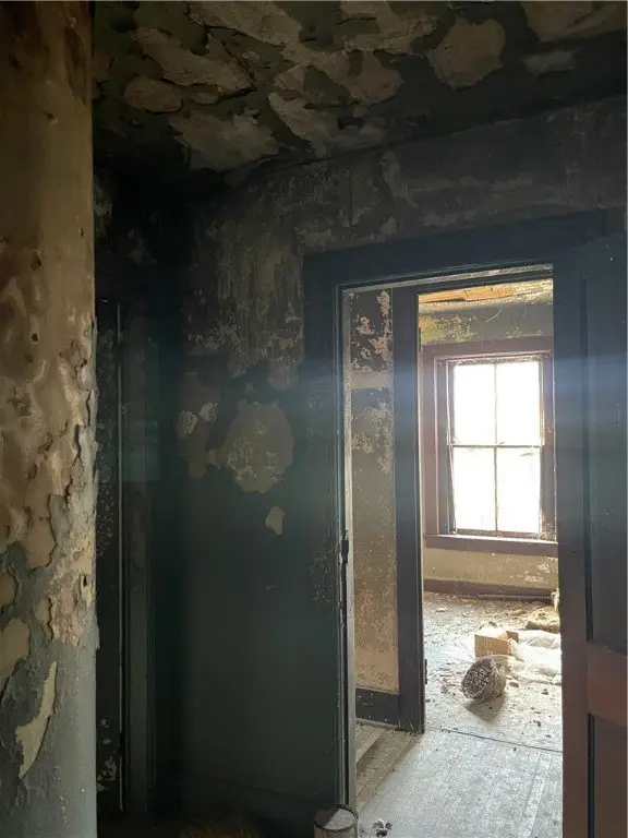Picture 4