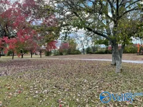 Cleared Lot in Decatur, AL