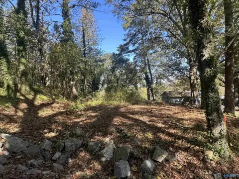 Guntersville Lot Near Lake