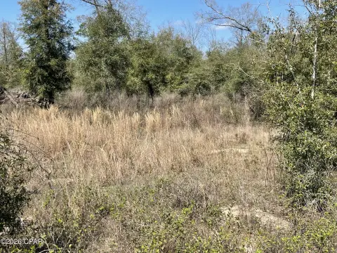 Land