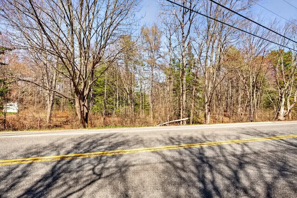 Picture 15