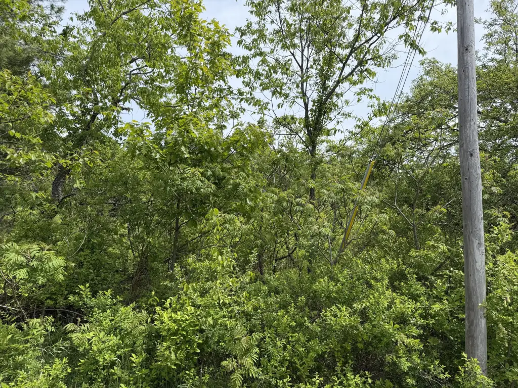 Picture 6