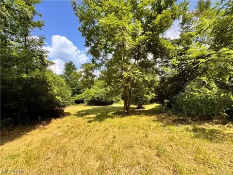 Wooded Hunting Land with Trails