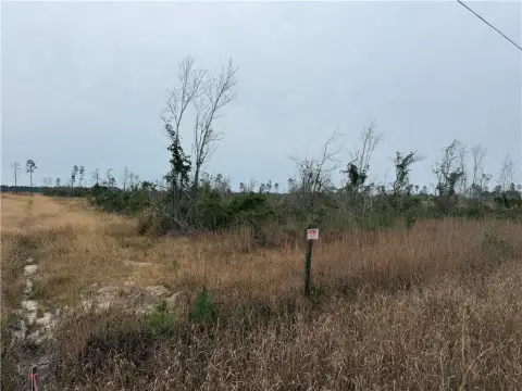 Unrestricted Acreage in Alma, Georgia