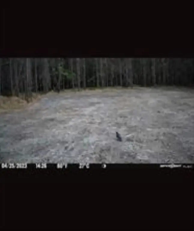 Picture 6
