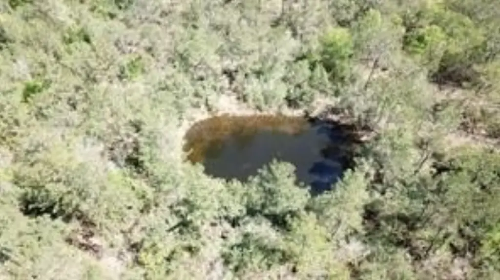 Picture 4