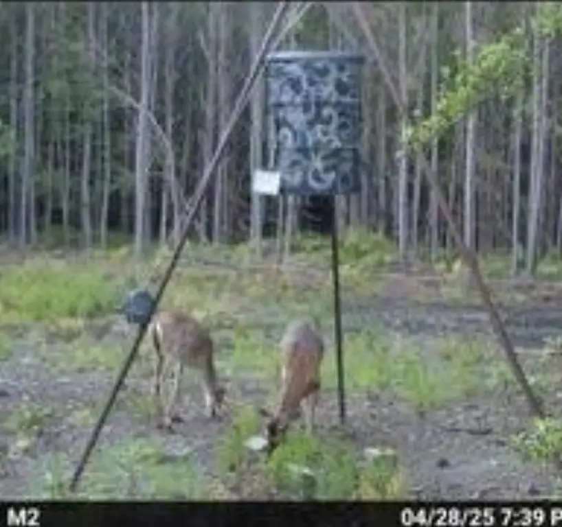 Picture 5