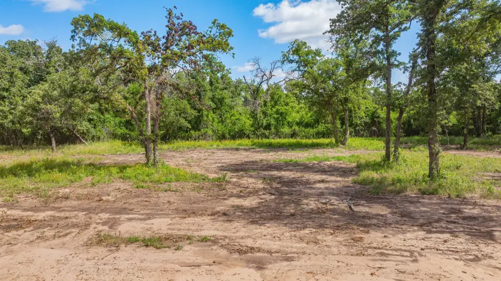 Picture 10