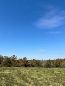 3 Acres Vacant Land, Albany